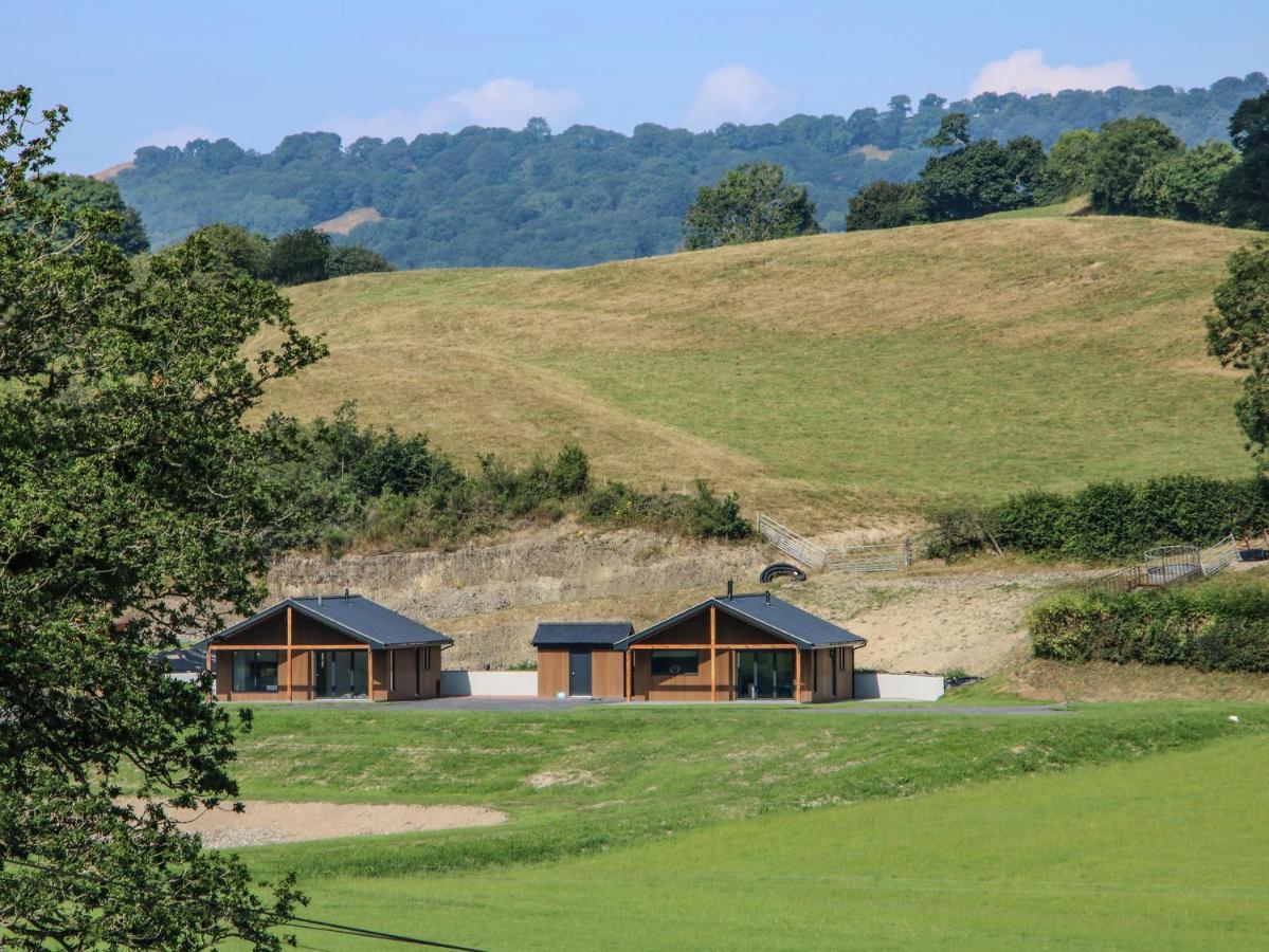 Vila Meadow View Meifod Exteriér fotografie